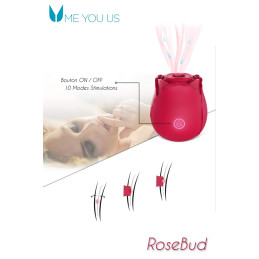 Intime-et-Sens Loveshop 89 Bouton de Rose stimulateur clitoris