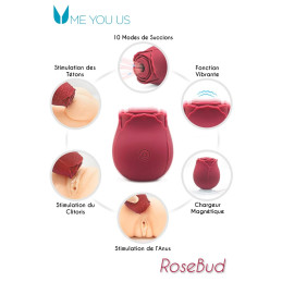 Intime-et-Sens Loveshop 89 Bouton de Rose stimulateur clitoris