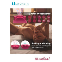 Intime-et-Sens Loveshop 89 Bouton de Rose stimulateur clitoris