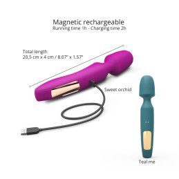 Intime-et-Sens Loveshop 89 R-Evolution Wand + 2 têtes