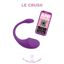 Intime-et-Sens Loveshop 89 Oeuf Connexion Longue Distance