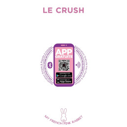 Intime-et-Sens Loveshop 89 Oeuf Connexion Longue Distance