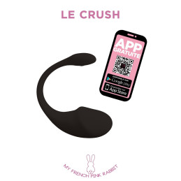 Intime-et-Sens Loveshop 89 Oeuf Connexion Longue Distance