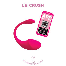 Intime-et-Sens Loveshop 89 Oeuf Connexion Longue Distance