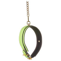 Intime-et-Sens Loveshop 89 Collier Et Laisse Simili Cuir