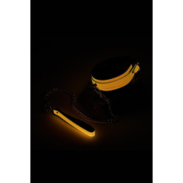 Intime-et-Sens Loveshop 89 Collier Et Laisse Simili Cuir