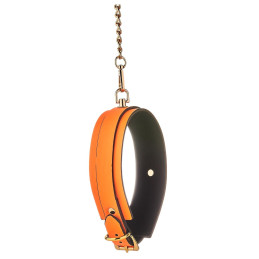 Intime-et-Sens Loveshop 89 Collier Et Laisse Simili Cuir