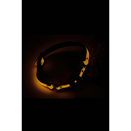 Intime-et-Sens Loveshop 89 Boule Baillon Simili Cuir