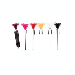 Intime-et-Sens Loveshop 89 Plumeau Caresse