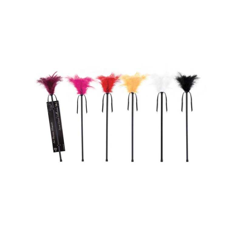 Intime-et-Sens Loveshop 89 Plumeau Caresse