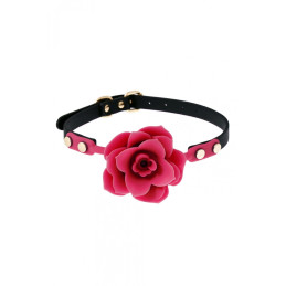 Intime-et-Sens Loveshop 89 Baillon boule fleure