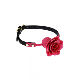 Intime-et-Sens Loveshop 89 Baillon boule fleure