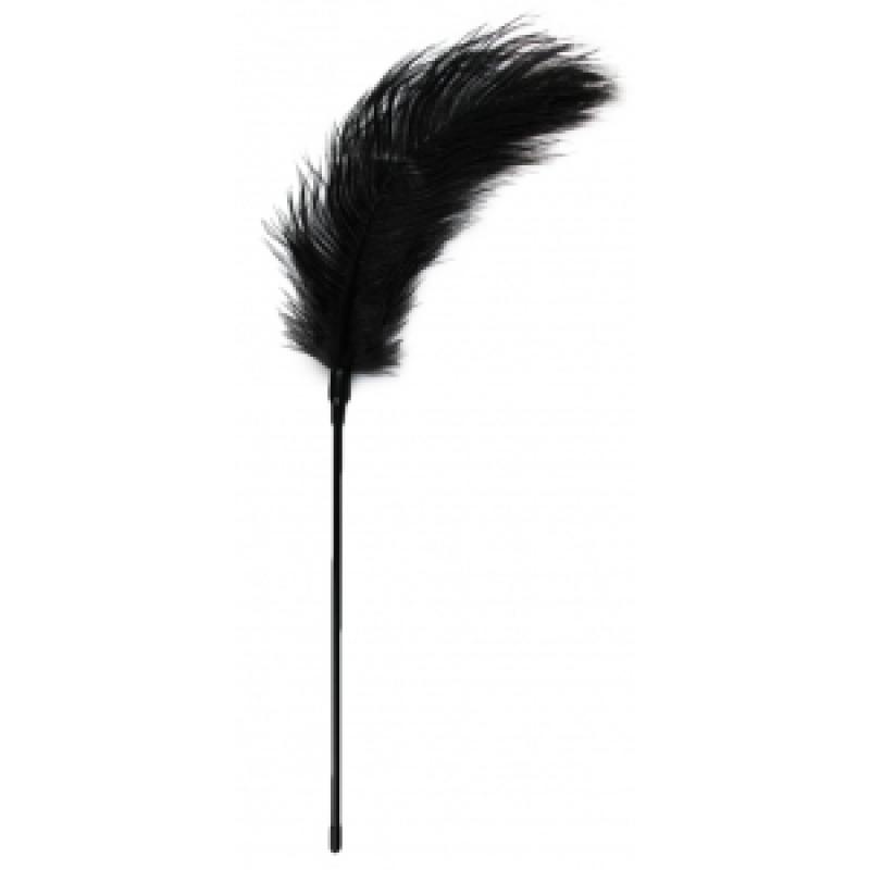 .Plumeau Teasing 56cm Noir