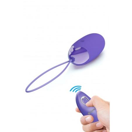 .Berger oeuf vibrant USB et télécommande