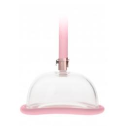 ' Pompe à vagin Rose Gold - Pumped 2