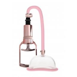 Pompe à vagin Rose Gold - Pumped