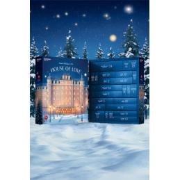 ' Calendrier Avent - Satisfyer Deluxe 2025