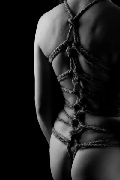 shibari 2