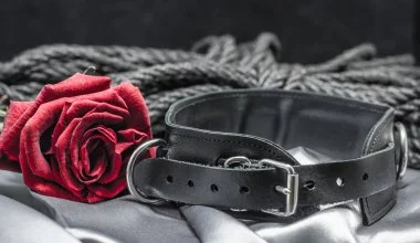 Shibari 3